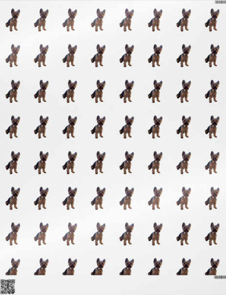 Personalized Pet Wrapping Paper