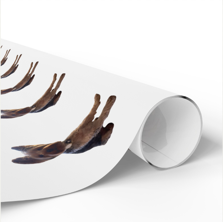 Personalized Pet Wrapping Paper